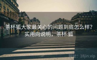 茶杯狐大家最关心的问题到底怎么样？实用向说明，茶杯 狐