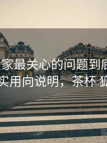 茶杯狐大家最关心的问题到底怎么样？实用向说明，茶杯 狐