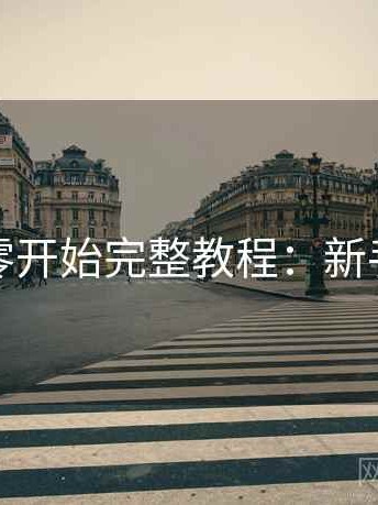 糖心从零开始完整教程：新手友好版