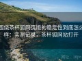 围绕茶杯狐网页版的稳定性到底怎么样：实测记录，茶杯狐网站打开