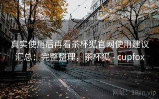 真实使用后再看茶杯狐官网使用建议汇总：完整整理，茶杯狐 - cupfox
