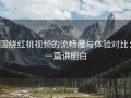 围绕红桃视频的流畅度与体验对比：一篇讲明白