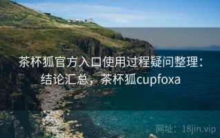 茶杯狐官方入口使用过程疑问整理：结论汇总，茶杯狐cupfoxa